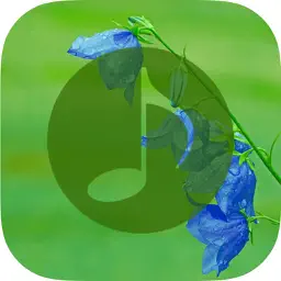Nature Sounds - Nature Music, Relaxing Sounds app icon
