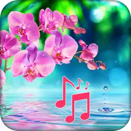 Stay Calm - Relaxing Melodies app icon