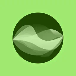 Noah: Your Emotional Support app icon