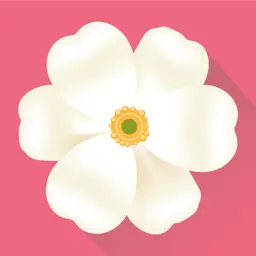 Period tracker, calendar app icon