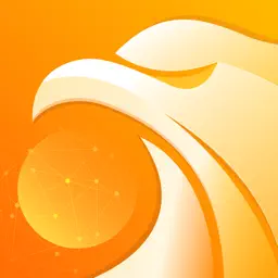 Falcon VPN - Online Net app icon
