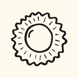Knowe Astrology: Birth Chart app icon