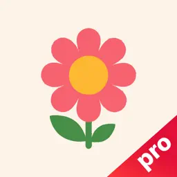 VPN - whale plus v2box ify app icon