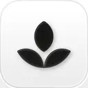 Emphasis: Flow & Focus Timer